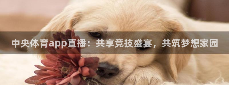中央体育app直播：共享竞技盛宴，共筑梦想家园