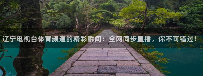 辽宁电视台体育频道的精彩瞬间：全网同步直播，你不可错过！