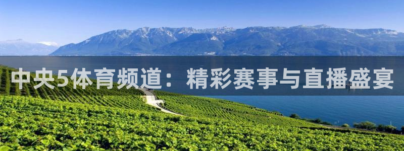 中央5体育频道：精彩赛事与直播盛宴