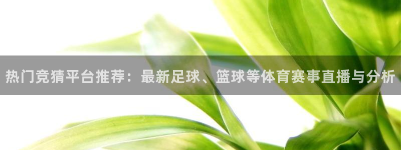 热门竞猜平台推荐：最新足球、篮球等体育赛事直播与分析