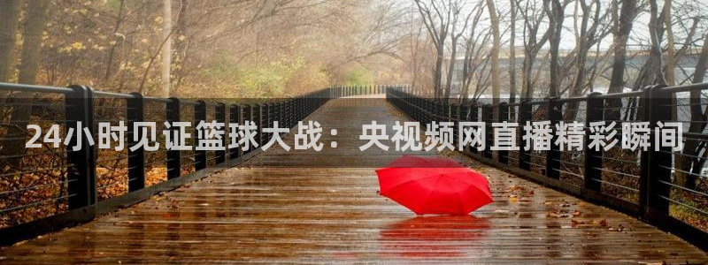 24小时见证篮球大战：央视频网直播精彩瞬间