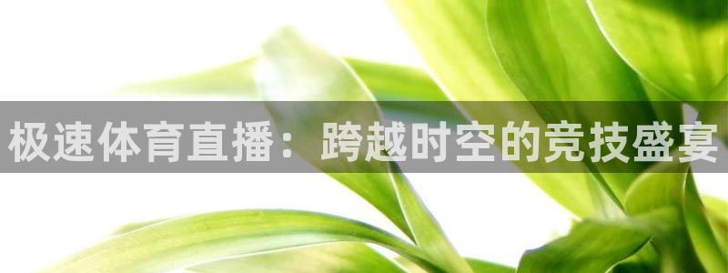 极速体育直播：跨越时空的竞技盛宴