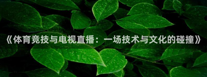 《体育竞技与电视直播：一场技术与文化的碰撞》