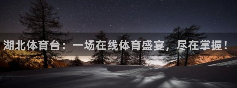 湖北体育台：一场在线体育盛宴，尽在掌握！
