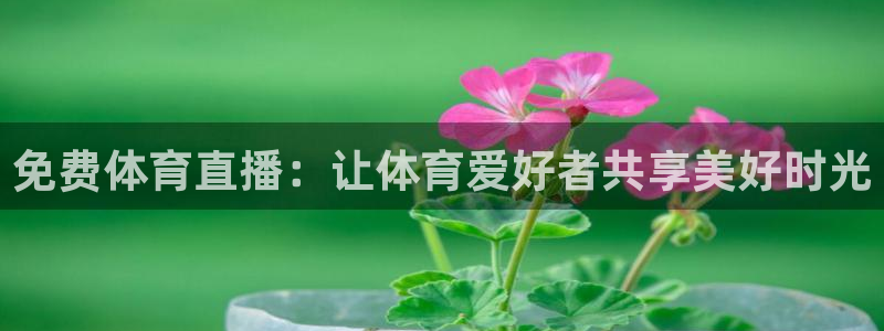 免费体育直播：让体育爱好者共享美好时光
