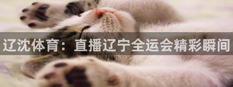 辽沈体育：直播辽宁全运会精彩瞬间