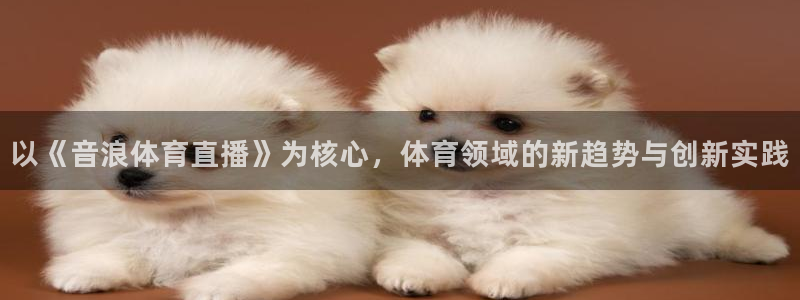 以《音浪体育直播》为核心，体育领域的新趋势与创新实践