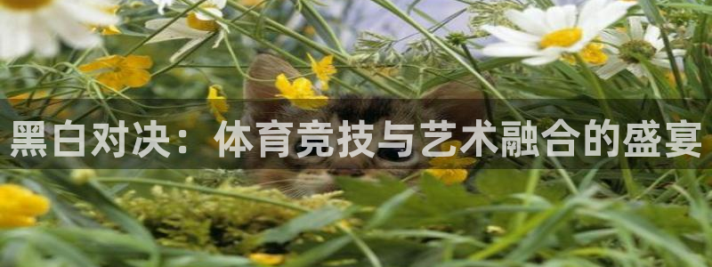 黑白对决：体育竞技与艺术融合的盛宴