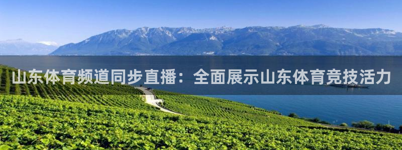 山东体育频道同步直播：全面展示山东体育竞技活力