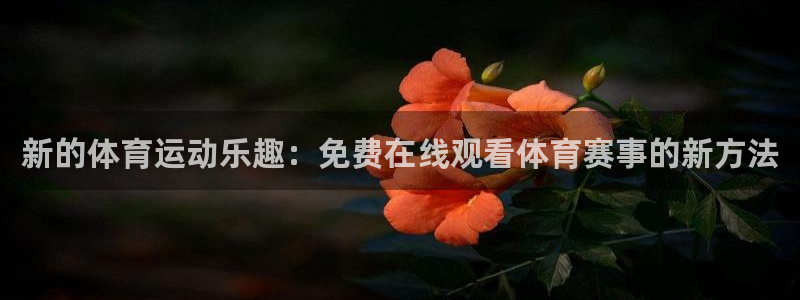 新的体育运动乐趣：免费在线观看体育赛事的新方法