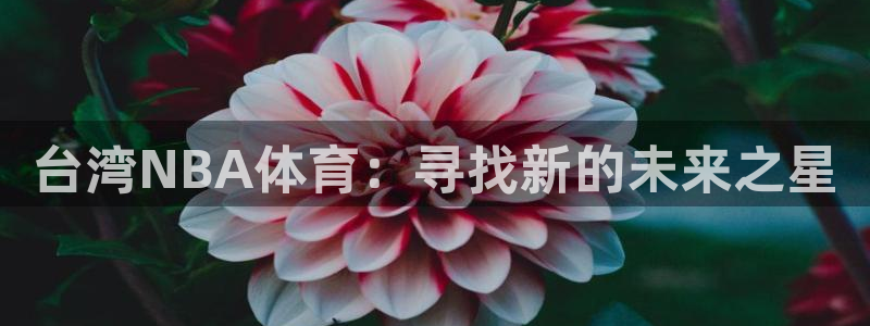 台湾NBA体育：寻找新的未来之星