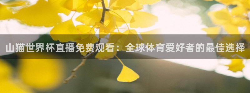 山猫世界杯直播免费观看：全球体育爱好者的最佳选择