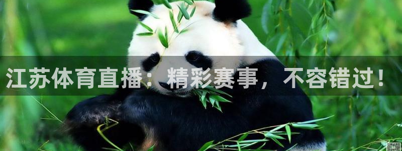 江苏体育直播：精彩赛事，不容错过！