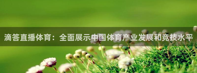 滴答直播体育：全面展示中国体育产业发展和竞技水平