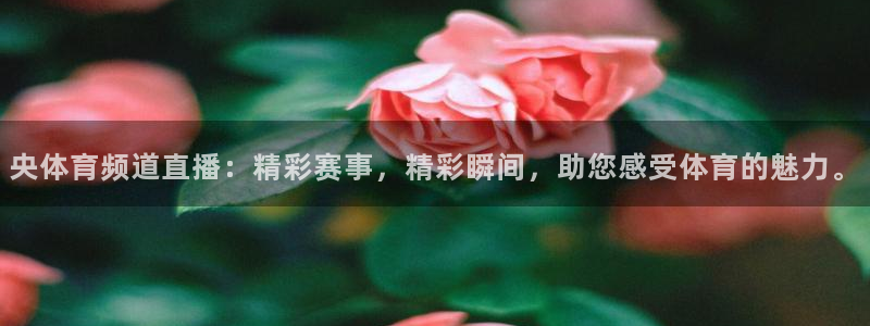 央体育频道直播：精彩赛事，精彩瞬间，助您感受体育的魅力。