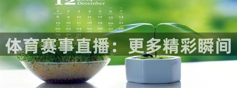 体育赛事直播：更多精彩瞬间