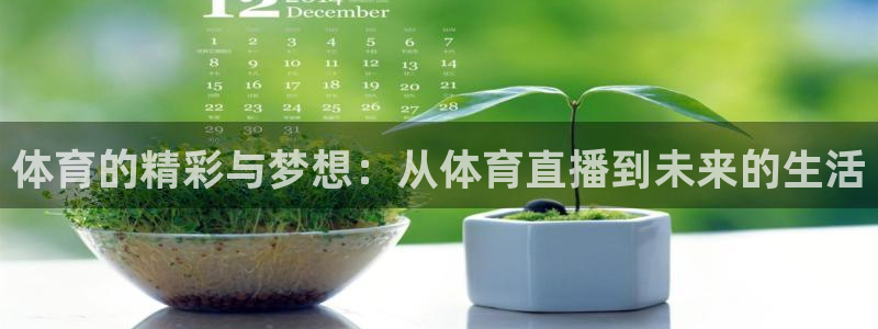 体育的精彩与梦想：从体育直播到未来的生活