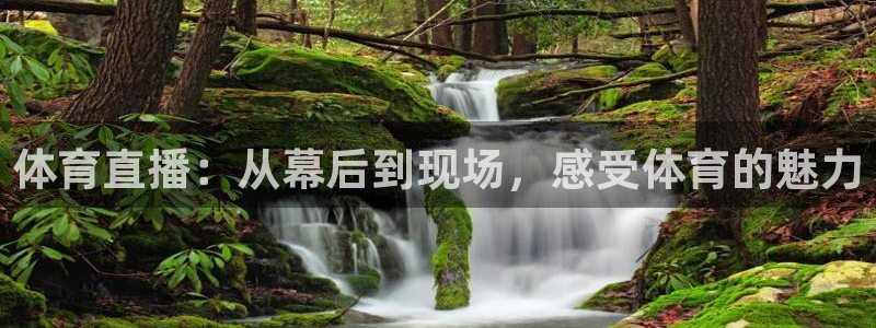 体育直播：从幕后到现场，感受体育的魅力