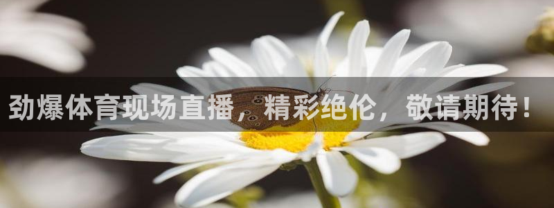 劲爆体育现场直播，精彩绝伦，敬请期待！