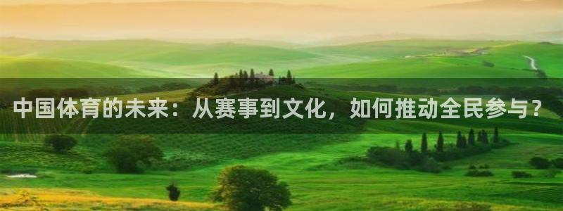 中国体育的未来：从赛事到文化，如何推动全民参与？