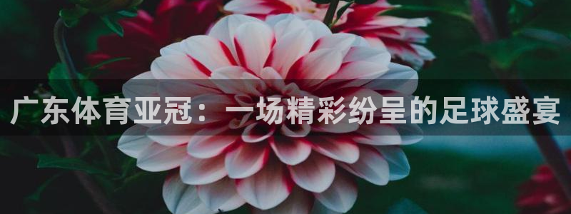 广东体育亚冠：一场精彩纷呈的足球盛宴