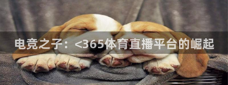 电竞之子：<365体育直播平台的崛起