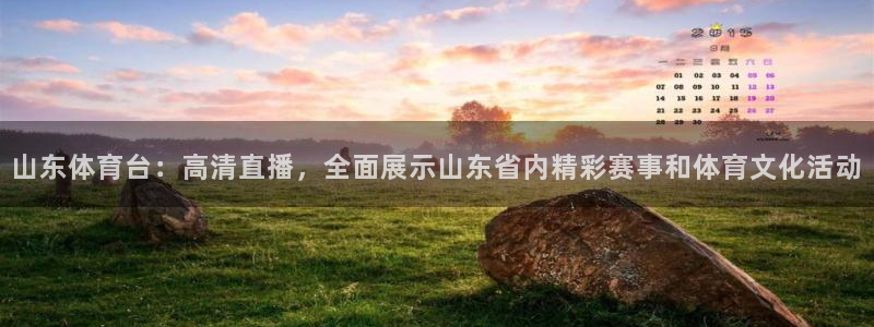 山东体育台：高清直播，全面展示山东省内精彩赛事和体育文化活动