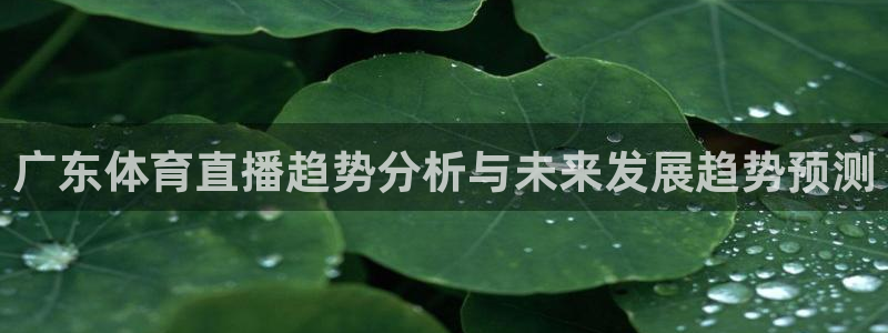 广东体育直播趋势分析与未来发展趋势预测